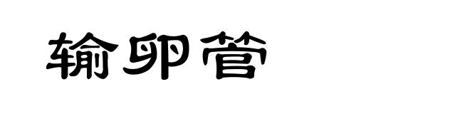 输卵管