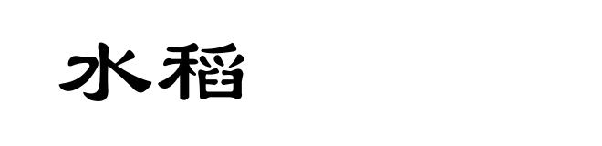 水稻