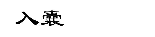 入囊