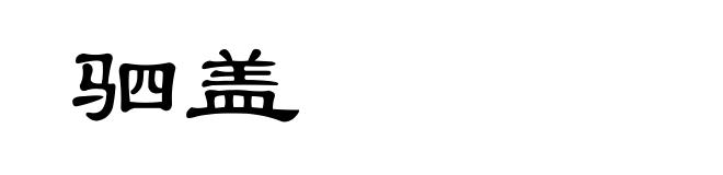驷盖
