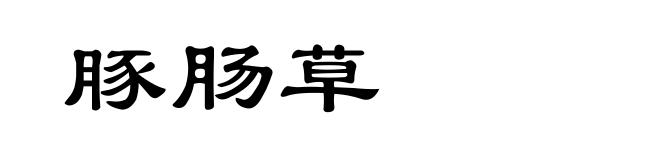 豚肠草