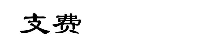 支费