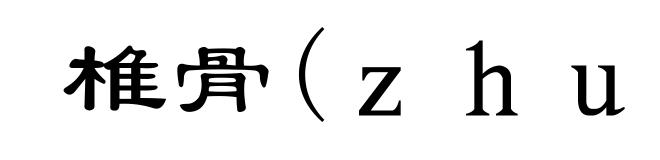 椎骨(zhuī-)