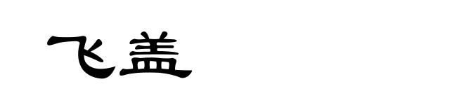 飞盖