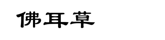 佛耳草