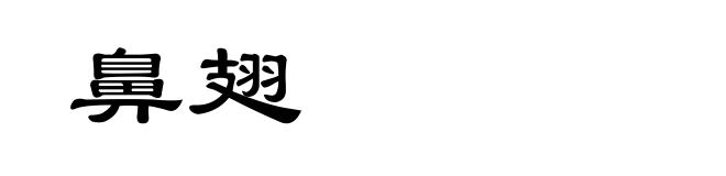 鼻翅