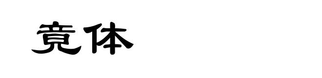 竟体