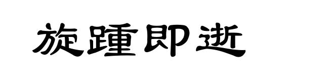 旋踵即逝