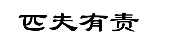 匹夫有责