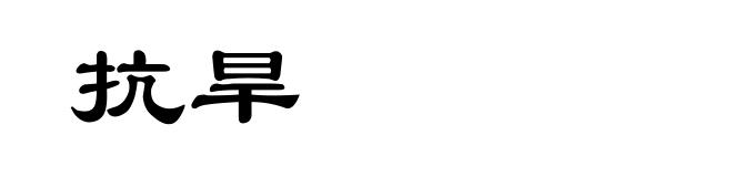 抗旱