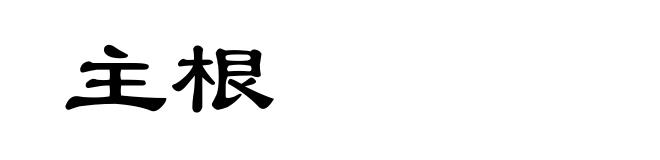 主根