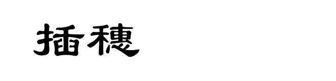 插穗