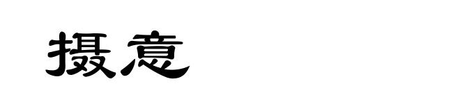 摄意