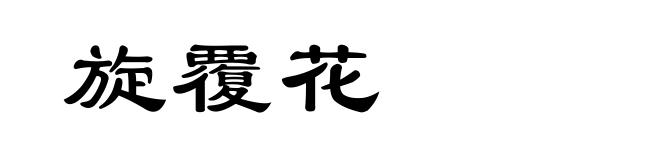 旋覆花