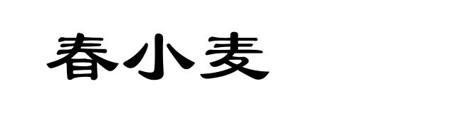 春小麦