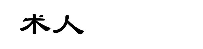术人