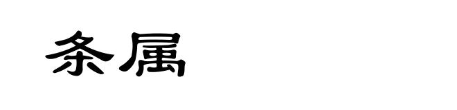 条属