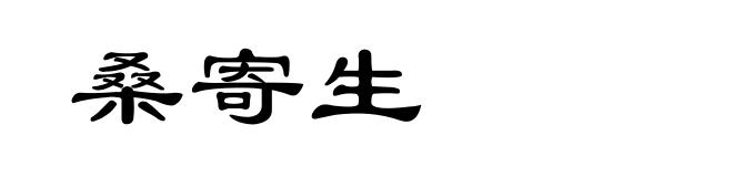 桑寄生