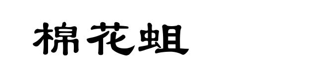 棉花蛆