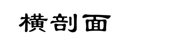 横剖面