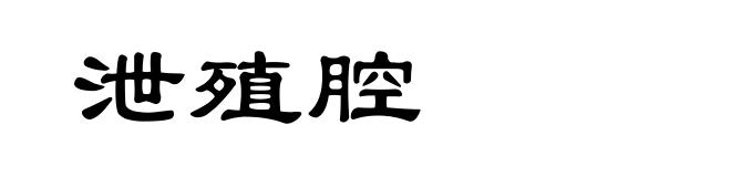 泄殖腔