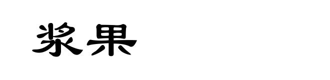 浆果