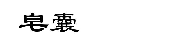 皂囊