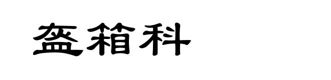 盔箱科