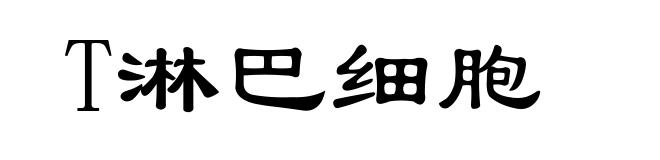 T淋巴细胞