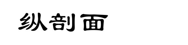 纵剖面