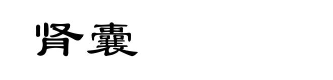 肾囊