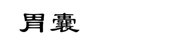 胃囊