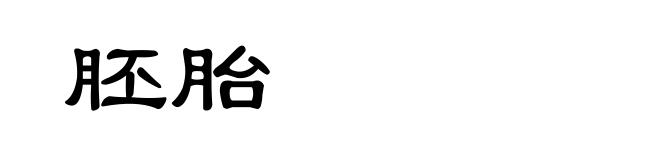 胚胎