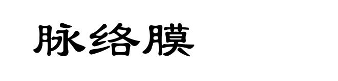 脉络膜
