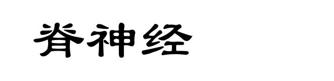 脊神经