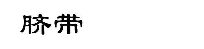 脐带