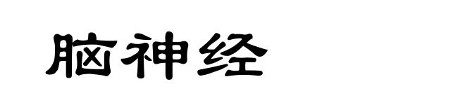 脑神经