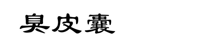臭皮囊