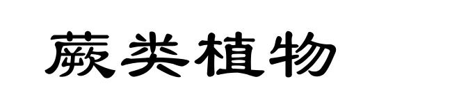 蕨类植物