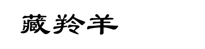 藏羚羊
