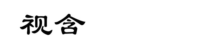 视含