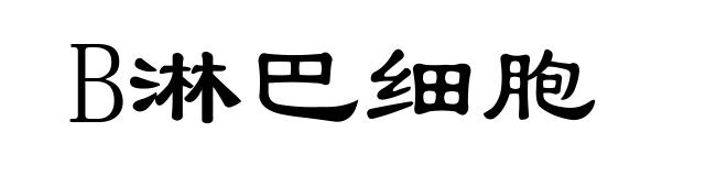 B淋巴细胞