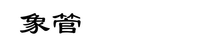 象管