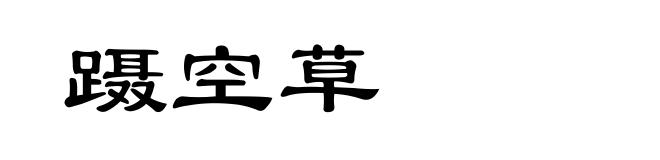 蹑空草