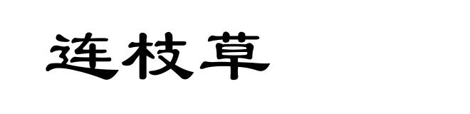 连枝草