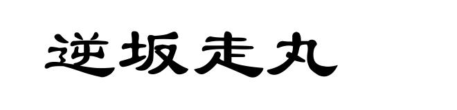 逆坂走丸