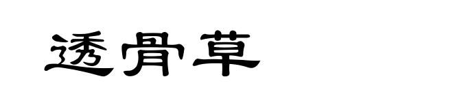 透骨草
