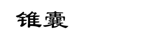 锥囊
