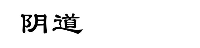 阴道