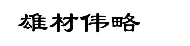 雄材伟略